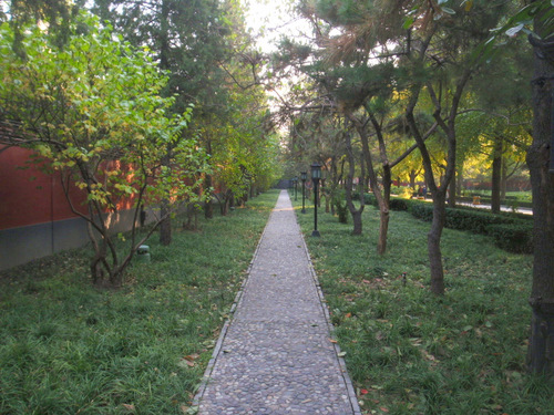 Quiet Walkway.